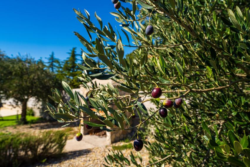 Holiday home Emily - foto 41