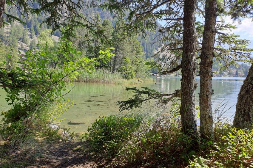 Chalet, Dil Arom, geschlossener Garten - foto 32