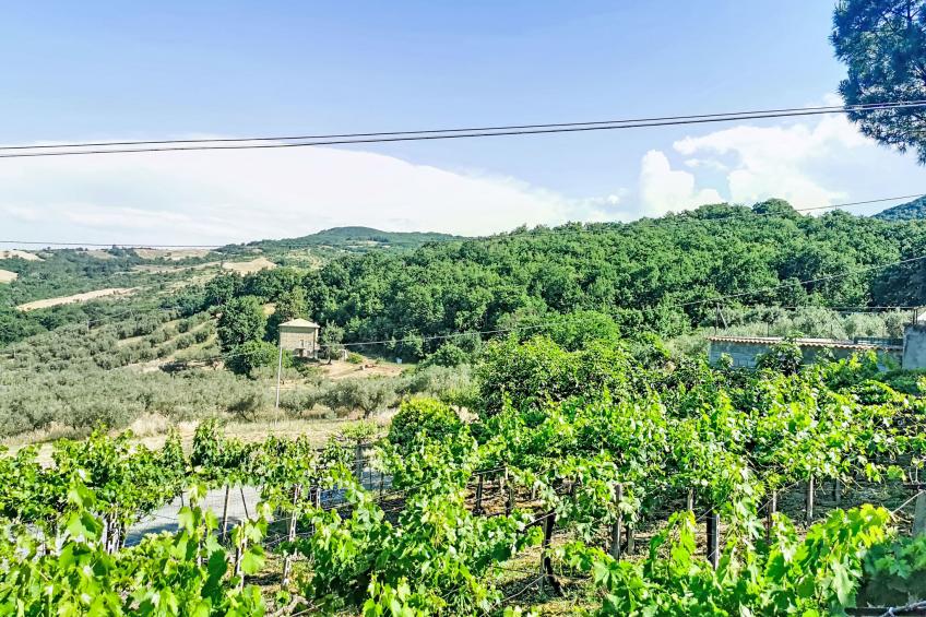 Il casolare di Campagna - Piano 1 - foto 40