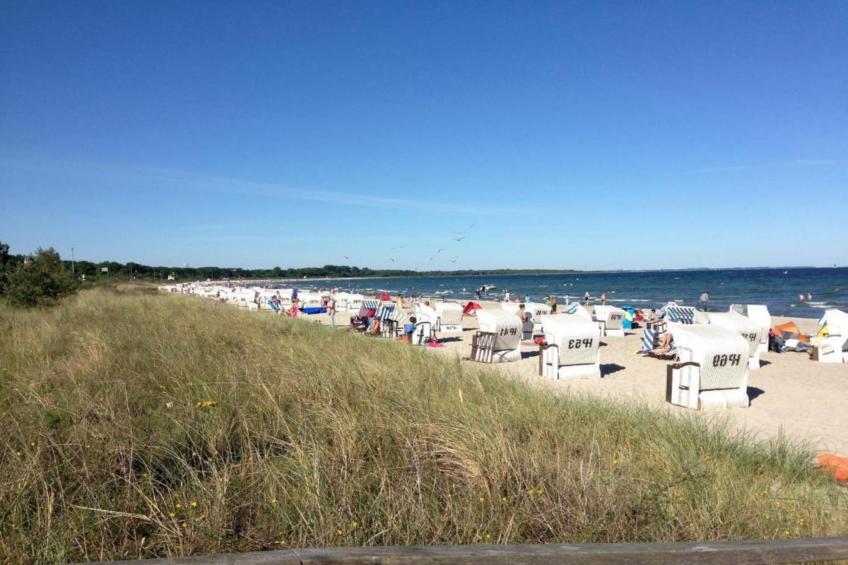 Platz im Grünen 1 - foto 20