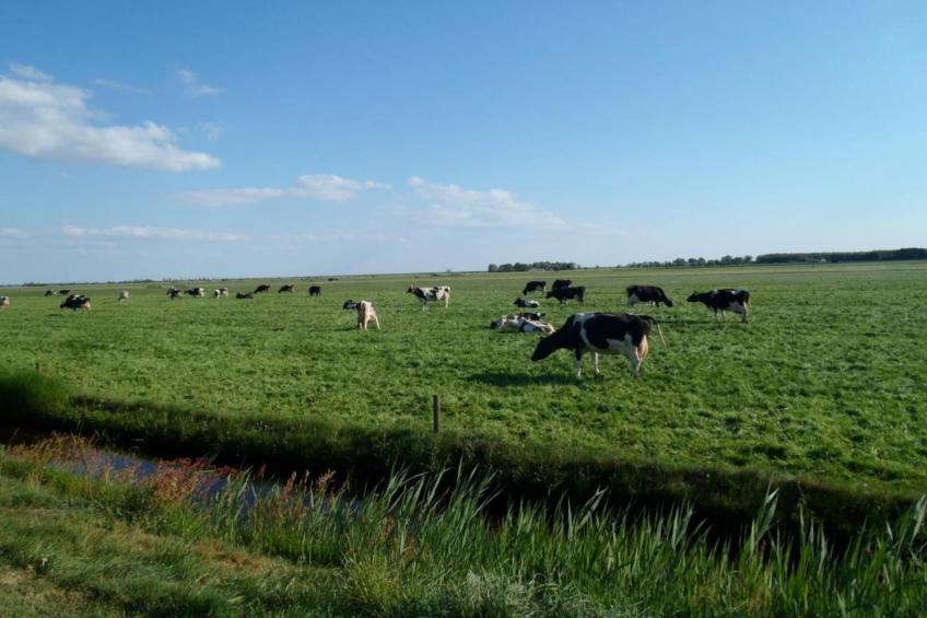 4-persoons bungalow Sondel 16 - foto 22