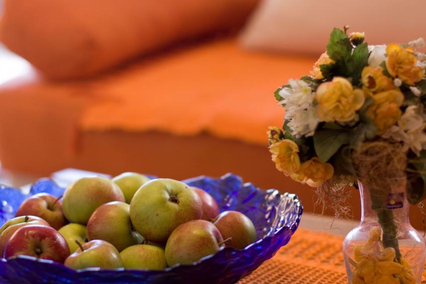 mit Garten, Grill und Terrasse - foto 12