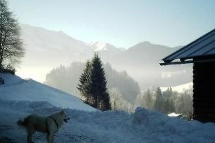 Falkenberg Nr. 114 - foto 16