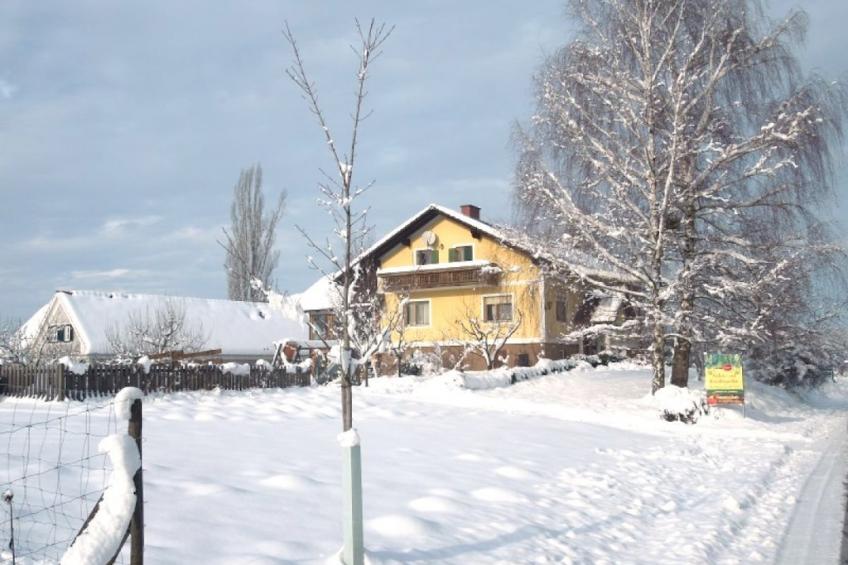 95020 - foto 2