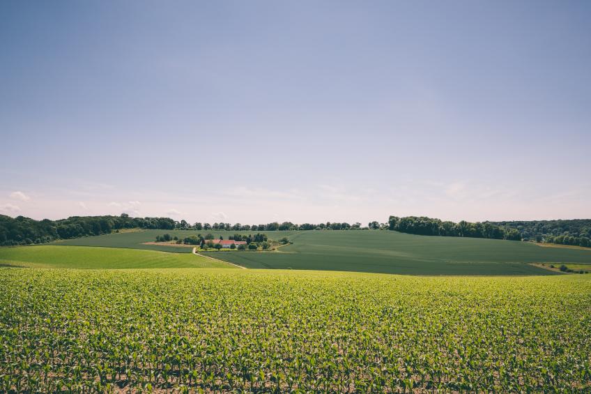 Bungalowpark Schin op Geul - foto 19