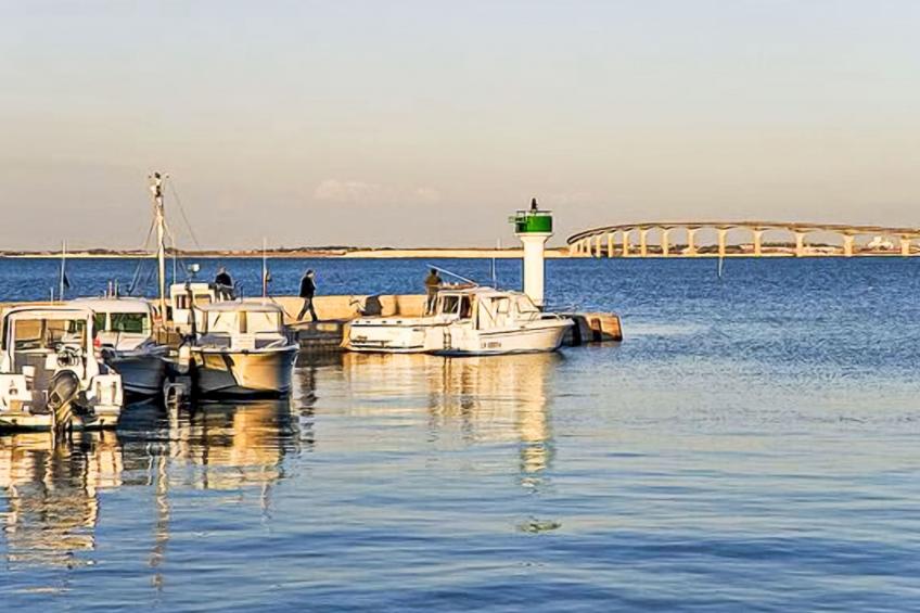 La Faisanderie - foto 19