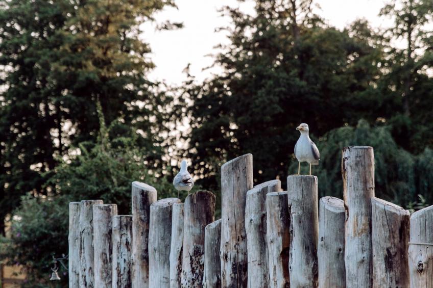 Admiral's Corner Lee - foto 26