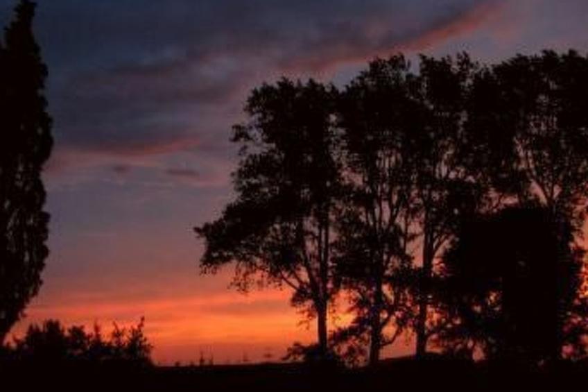 Willkommen im Ferienhaus "Luise" - foto 15