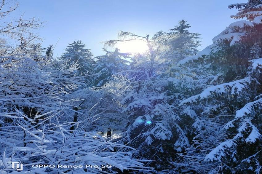 Blue Wood - foto 25