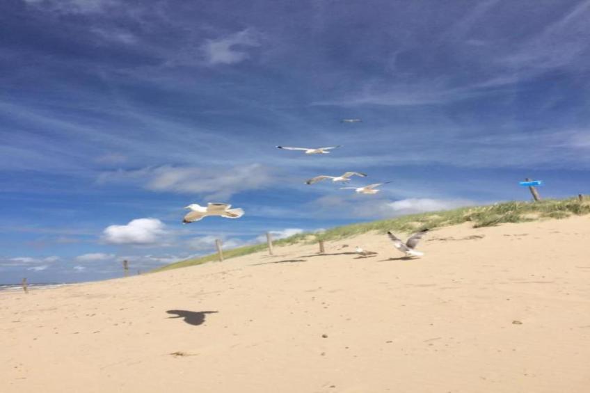 Strandhuys Mossel - foto 19