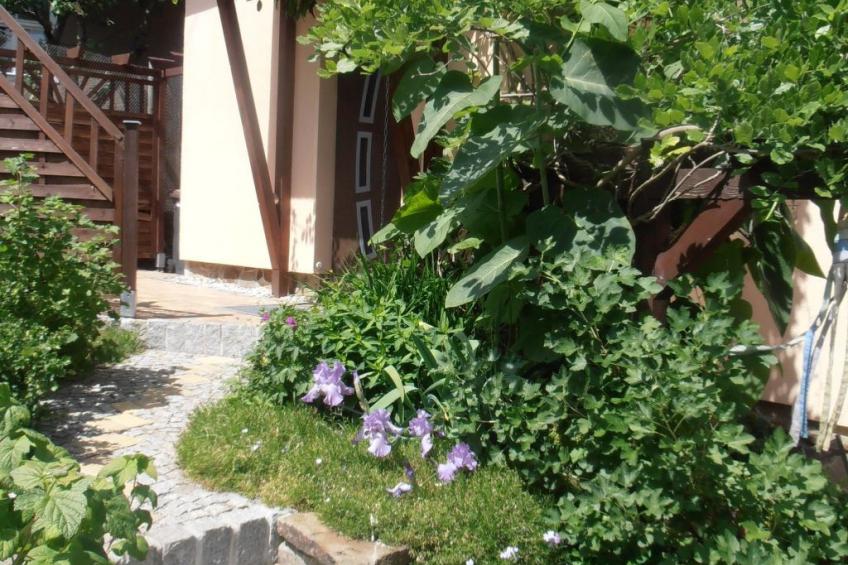 FerienwohnungBaumann - foto 3