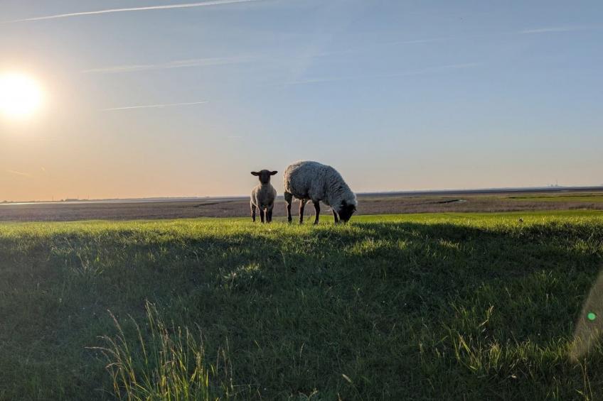 Landhaus Markus - foto 29