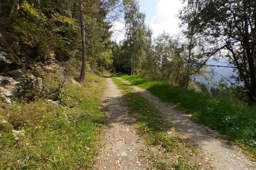 Teichhaus Simperle - foto 30