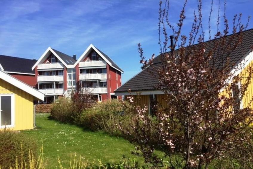 Haubentaucher 80 - foto 27