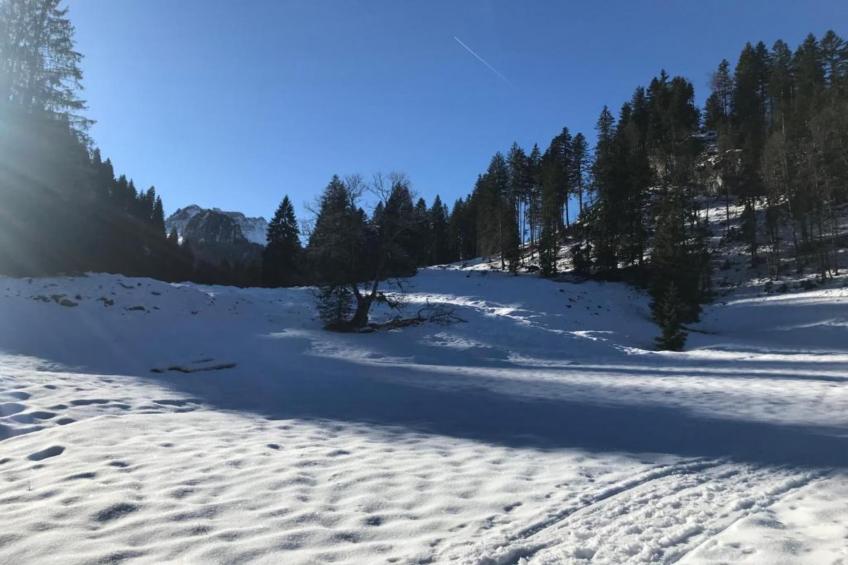 Barbara - foto 36