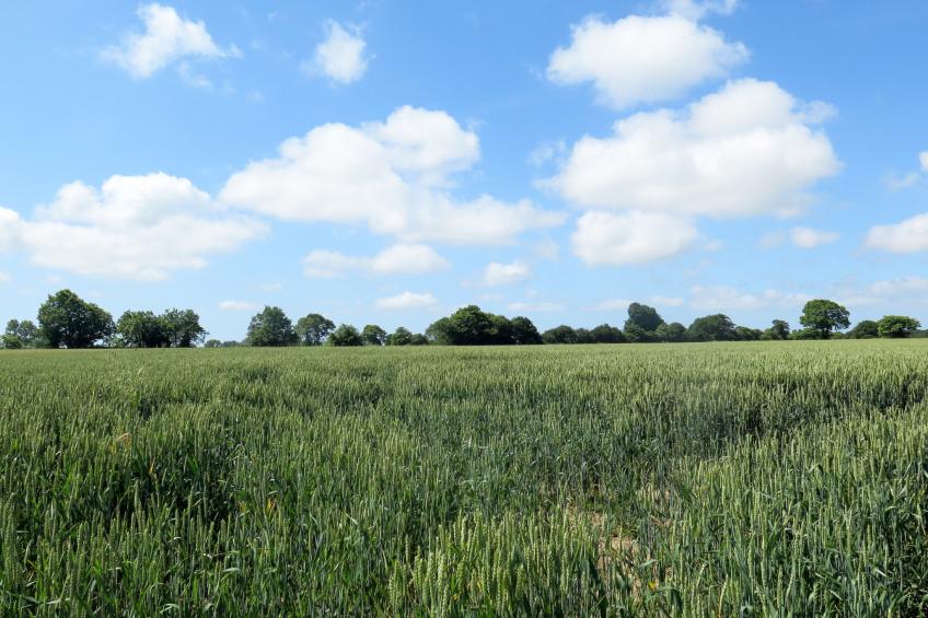 Gite - typisch bretonisches Bauernhaus mit Pool - foto 22