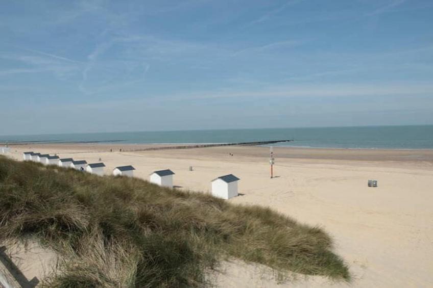 De Biezenpolder - foto 34