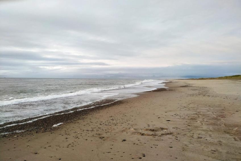 BF-XMY7H - foto 33