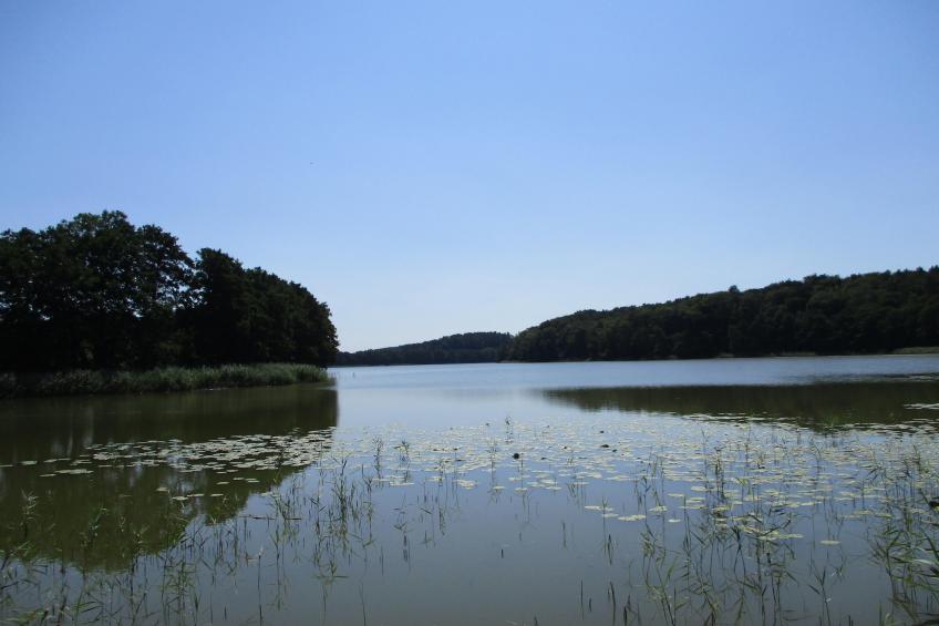 Dom wakacyjny dla miłośników przyrody - foto 31