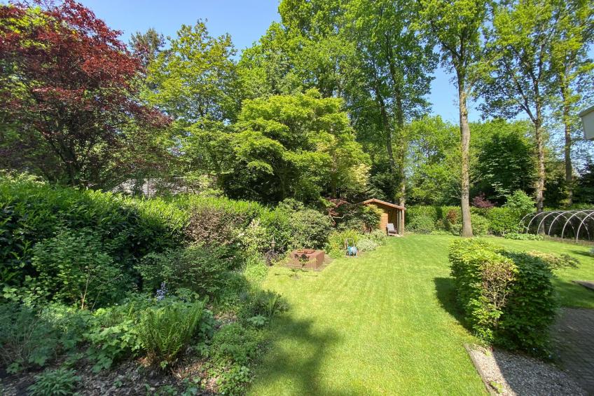 De Paradijsvogel - foto 7