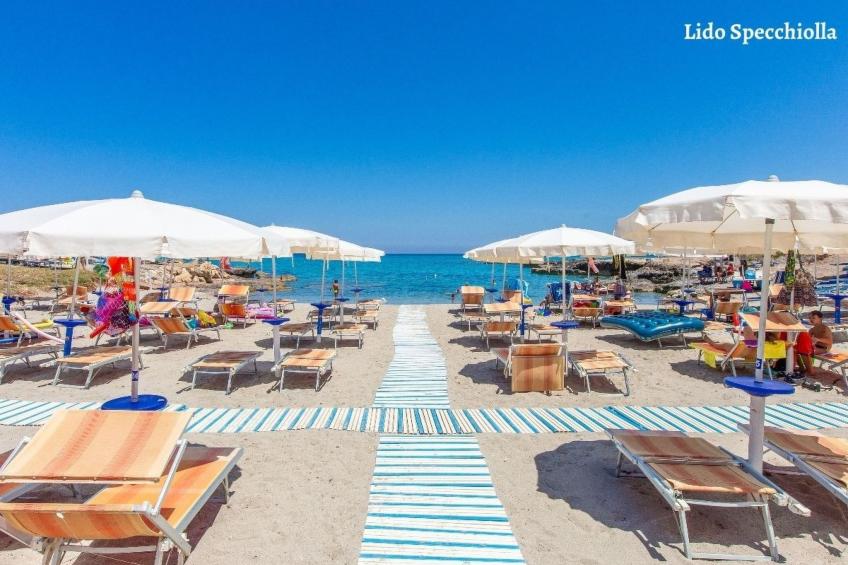 Villa Pallino mit Pool - foto 44