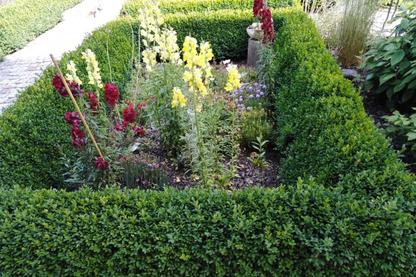 Wohnung in Bad Gottleuba - foto 32