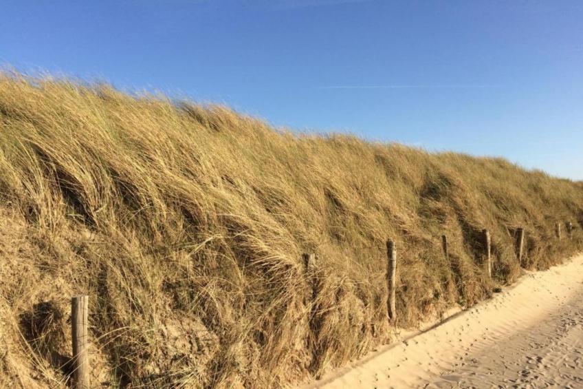 RESIDENTIE PICKWICK 0201 - foto 38