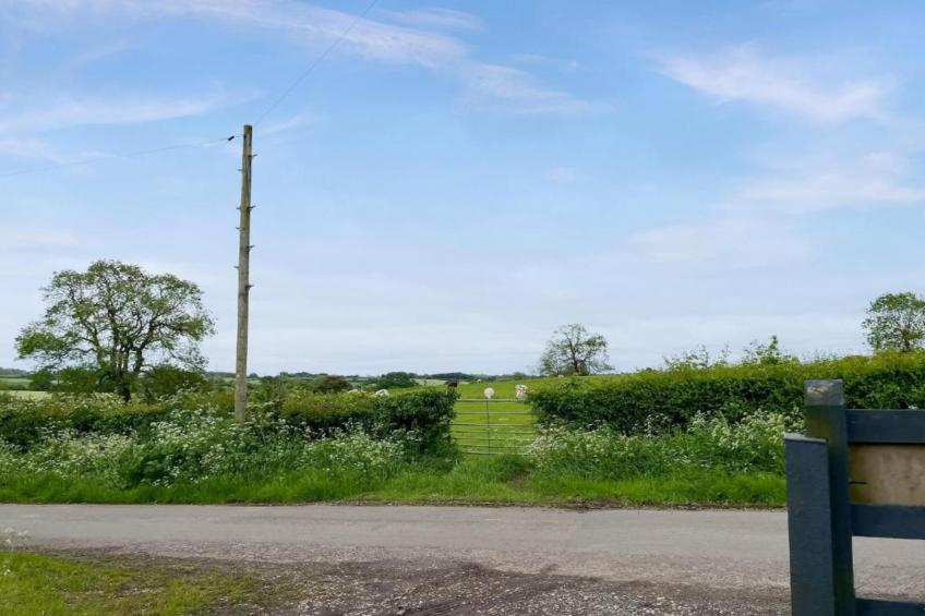 The Pig Barn - foto 31