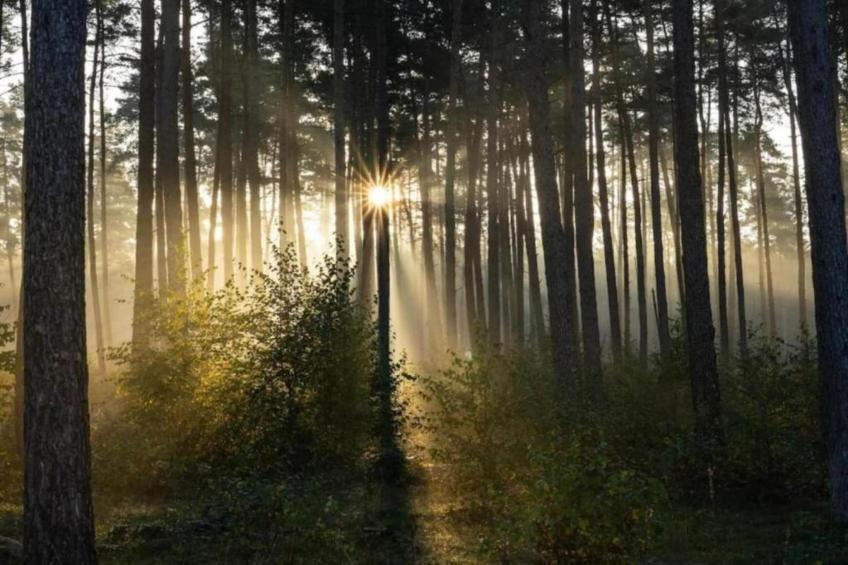 Feriendorf Natur pur - foto 25