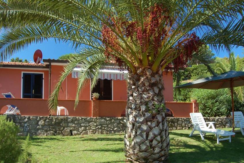 Villa Franca - foto 10