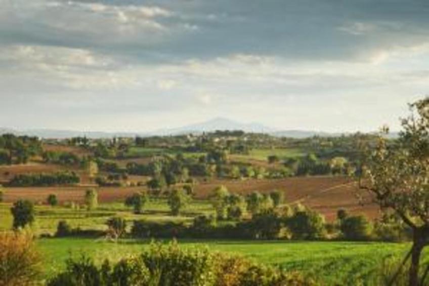 Portico della Volpe - foto 30