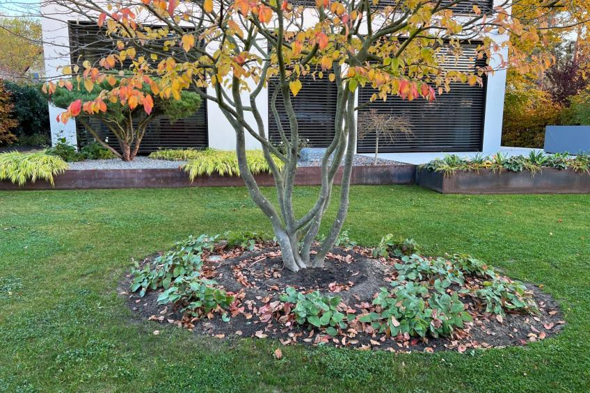 Modernes Einfamilienhaus - foto 11