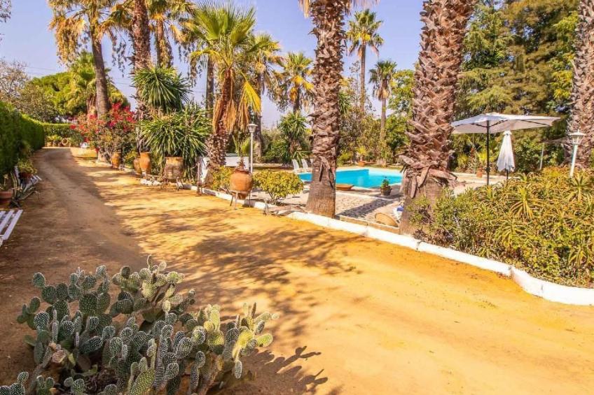 Casa Rural Santa Ana in Marchena, Sevilla - foto 36