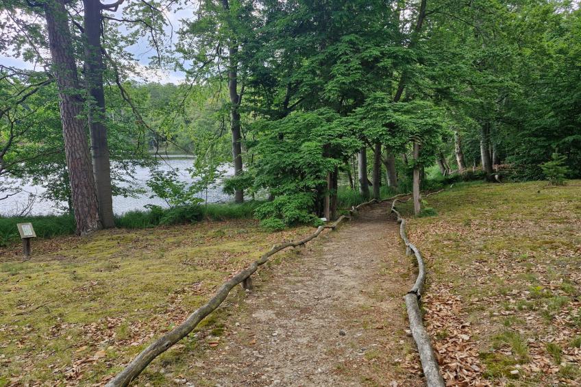 Hafendorf Junior Suite - foto 34