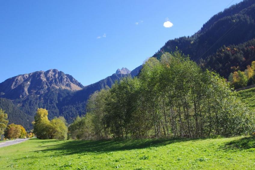 201832 - foto 7