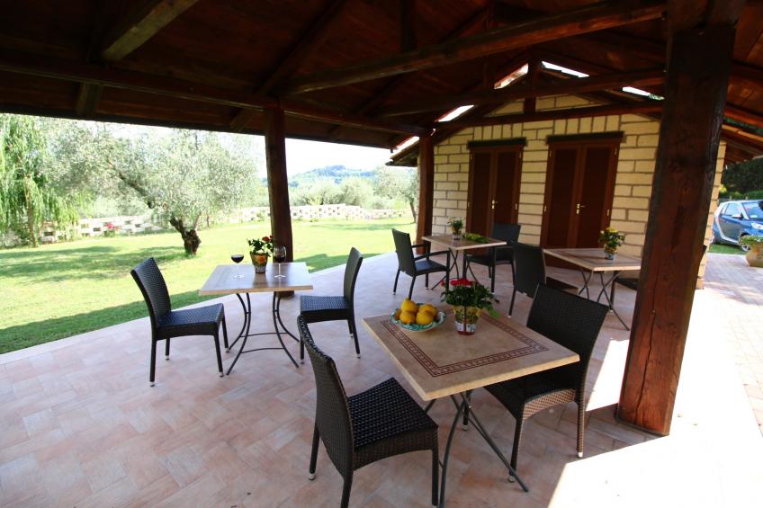 Ulivo - foto 26