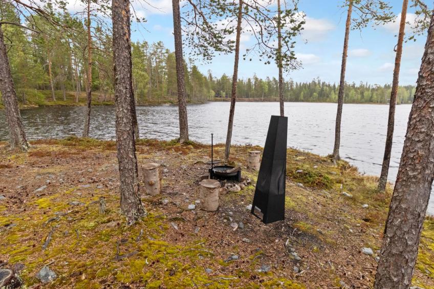 Metsä-luosto - foto 40