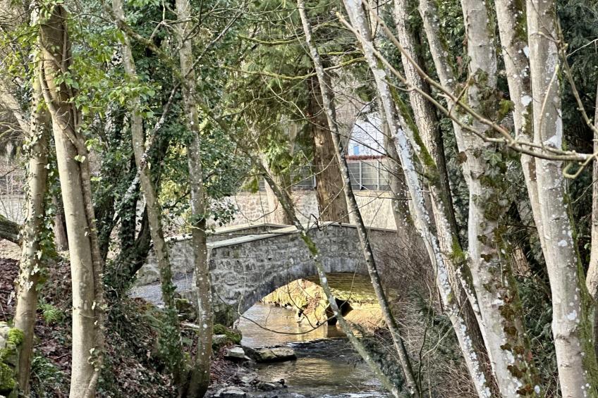 Gite de Montaigle - foto 54