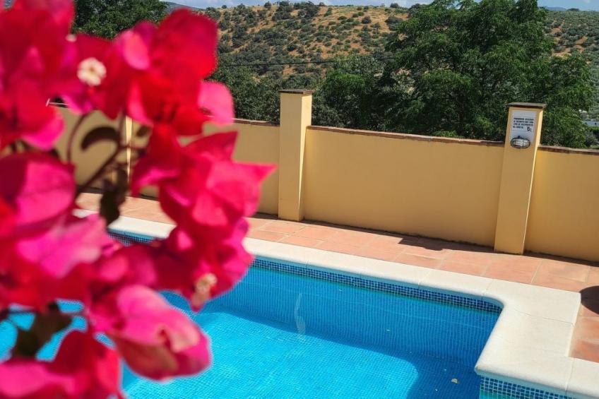 in Algarinejo mit Eigener Terrasse - foto 29