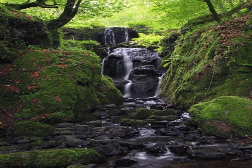 Little Dunley - Acorn Cottage - foto 25