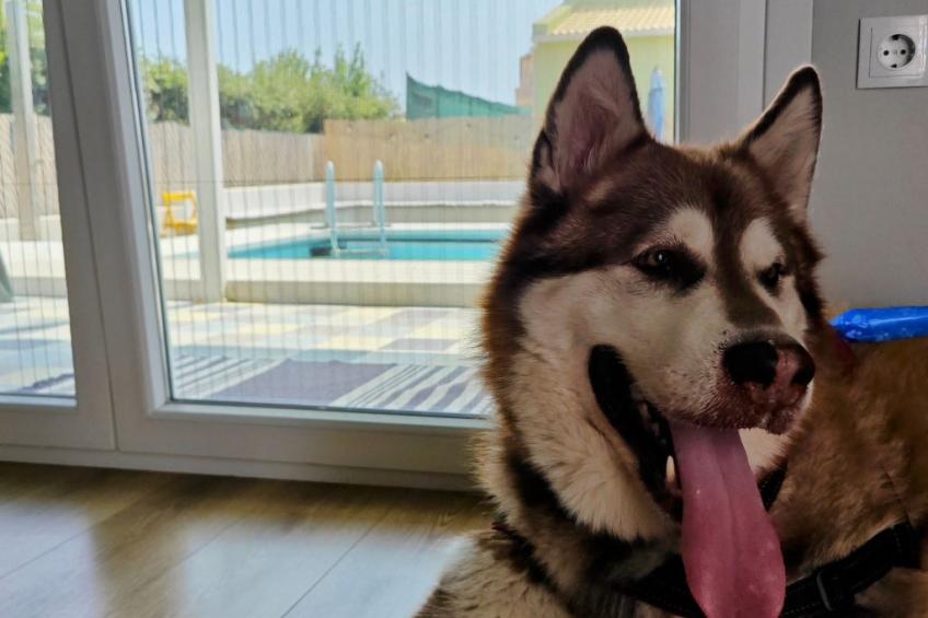 Kinderfreundliche Pool Villa 5p Seaside Beach Forest - foto 33