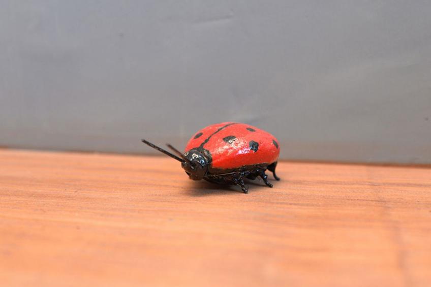 Rustikales Triplex für bis zu 18 Personen - Pobla de Lillet - foto 38