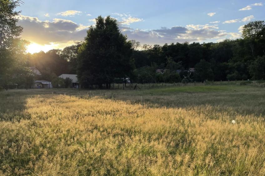 Spreewaldhaus am Landgut - Das Haupthaus - foto 36