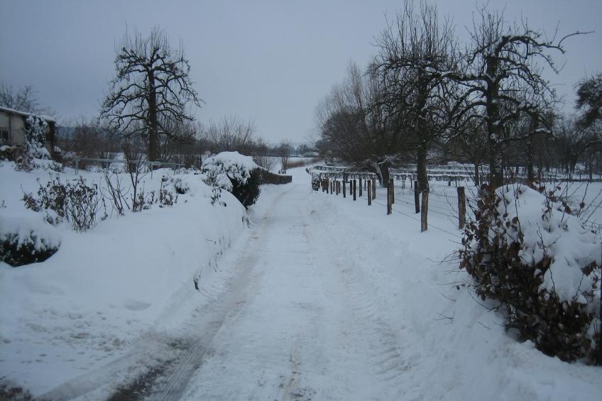 i gen Roemel - foto 39
