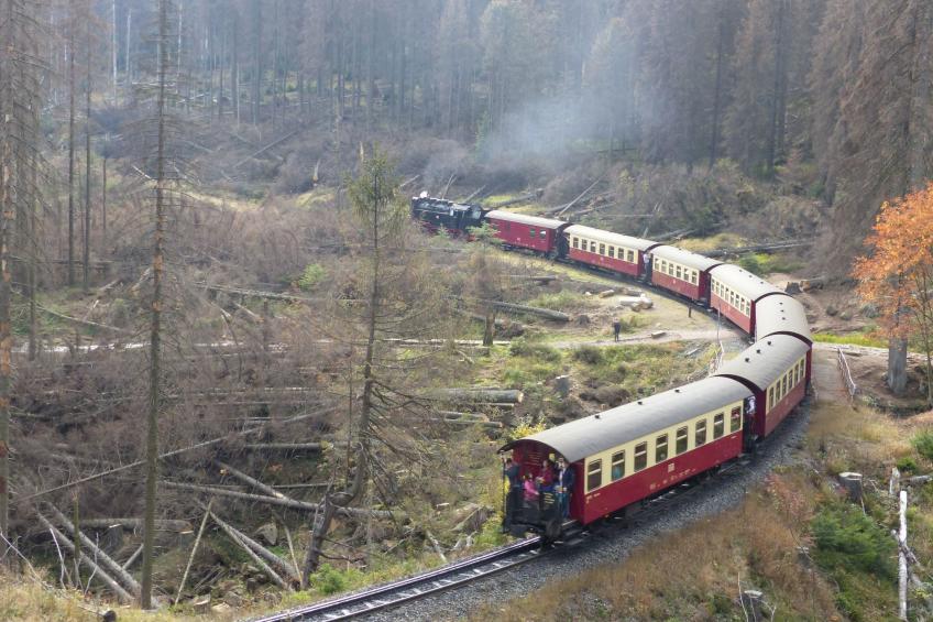 Wohnung in Bad Harzburg mit Garten - foto 12