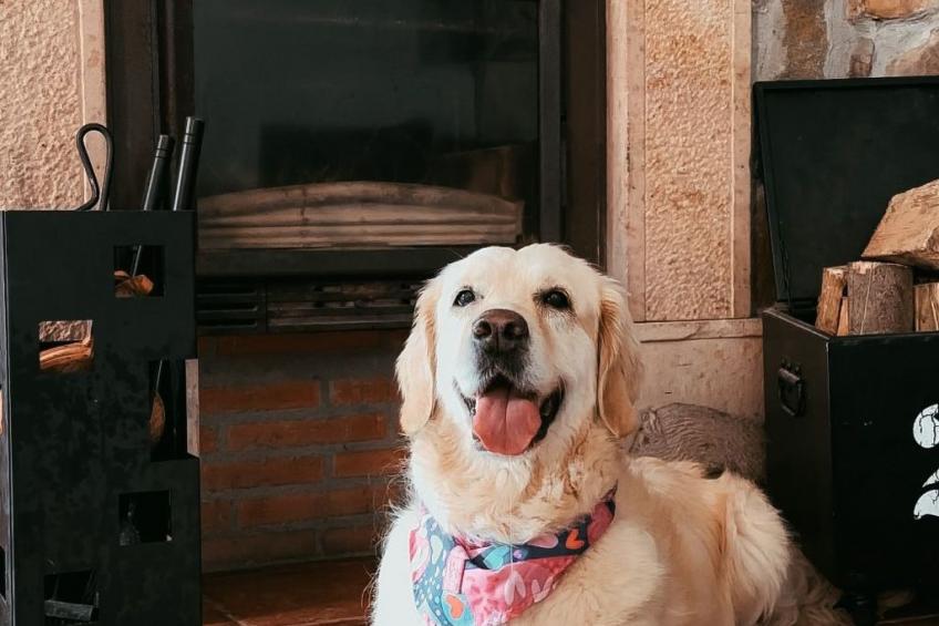 Jacuzzi, Kamin, Grill und spektakuläre Aussicht - foto 38