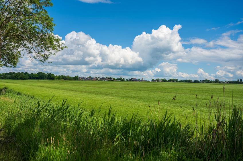 De Stevenshoek - foto 49