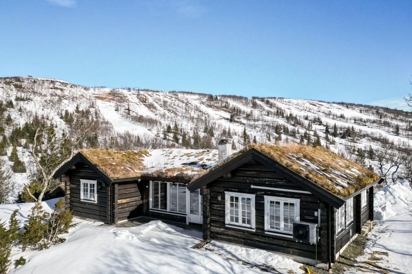 Fjälldrömmen