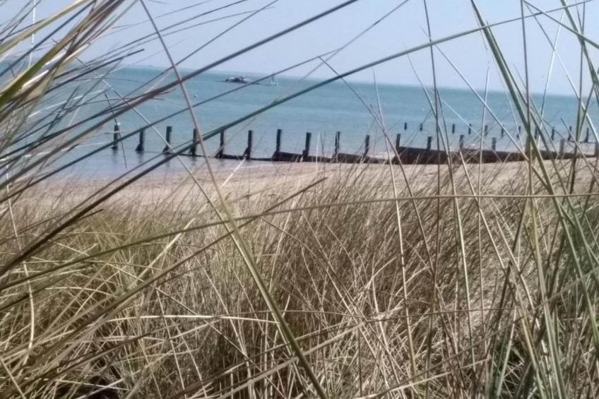 Résidence Prestige le Domaine des Pins - foto 26