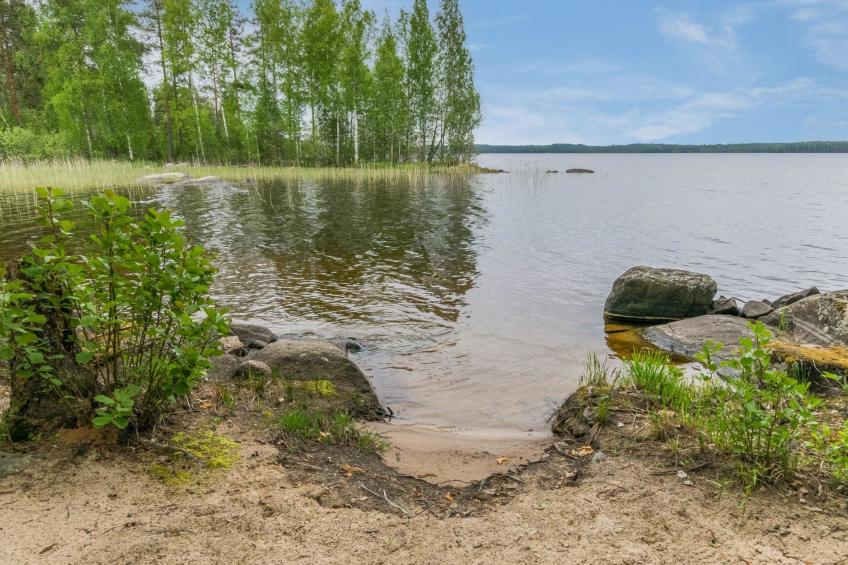 Tervapääsky - foto 5